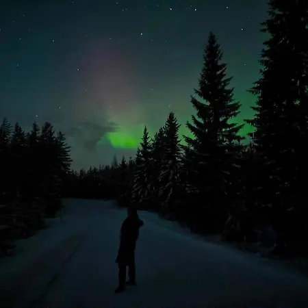 Vacation Kuhmanne * Vehvilä